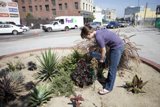 Plant Lady in Action