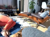 Cozy Afternoon with Furry Companion