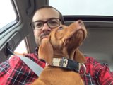 Cruisin' with My Canine Companion