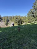 Spring Stroll in Guerneville