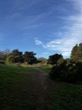 Serene Scenery of McLaren Park