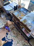Furry Friends on the Rug