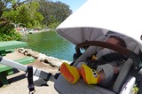 Baby in Stroller Enjoying Lakeside Park Day