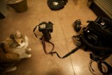 Feline Companion on USC Tour