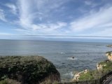 Coastal Serenity