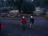 Walking through the Wild