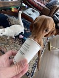 Coffee Thief