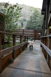 A Moment of Pause on the Big Sur Adventure