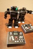 Playful Robots in Hardwood Flooring