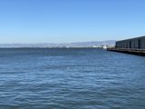 Serenity at the Waterfront