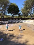 Splashes of Joy
