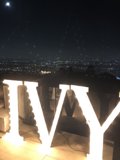 Vivid Viv Sign Lights Up the Night Sky