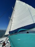 Sailing on the Bay