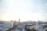 Urban Oasis