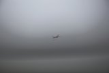 Above the Mist