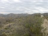 A Road Less Traveled