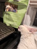 Unboxing Delight: A Furry Affair
