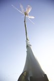 Wind Turbine with Flower Top