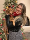 Christmas Cheer with Furry Friends