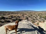 Overlooking the Wilderness