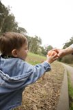 A Touch of Innocence