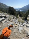 Canine Companion on the Hiking Trail