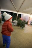 Winter Whimsy: Wesley's Christmas Adventure