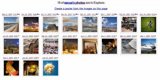 Tear Sheets Collage of Various Places and Animals