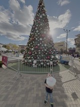 Child Gazing Up at Giant Christmas Tree
