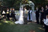 A Backyard Wedding Dream