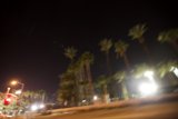 Blurry Palm Trees at Night