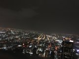 City of Lights