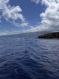 Serenity in Blue