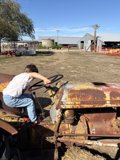 Little Adventurer on the Farm