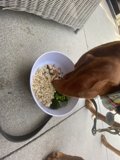 Dinner for Two