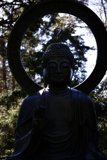 Serenity in the Japanese Tea Garden