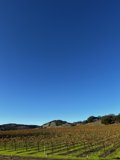 Harvesting in the Countryside