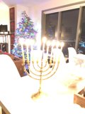 Festival of Lights and Trees