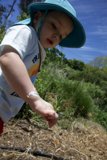 Exploring Nature: Little Explorer at Alemany Farm