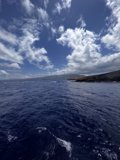 Above the Sea and Sky