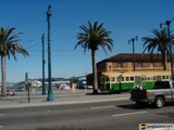 Trolley Ride Through the Palms