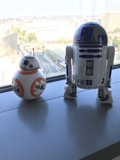 Window Sitting Robots