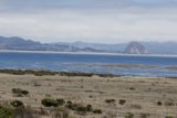 Coastal Serenity in Cayucos