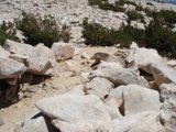 A Rocky Oasis