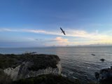 Sunset Flight