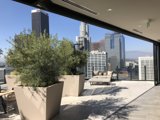 A View of the Urban Jungle