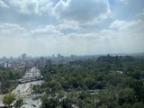 A Bird's Eye View of the Bustling Metropolis