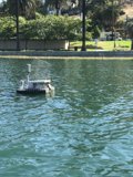 Serenity on the Water
