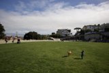 A Joyous Day at Francisco Park