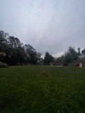 Serenity in the Park